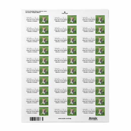 カスタム可愛いペット写真犬のオーナー写真 ラベル (フルシート)