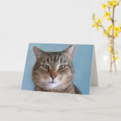 カスタム可愛い子猫「猫から」誕生日 カード (黄色い花)