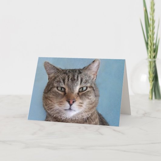 カスタム可愛い子猫「猫から」誕生日 カード (正面)