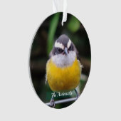 カスタム可愛い黄色の胸鳥の写真パーソナライズされた オーナメント (正面)