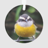 カスタム可愛い黄色の胸鳥の写真パーソナライズされた オーナメント (裏面)