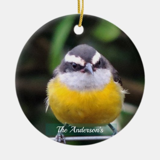 カスタム可愛い黄色の胸鳥の写真パーソナライズされた セラミックオーナメント (正面)