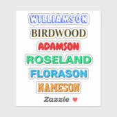 カスタム名シール（防水ビニル名） シール (シート)