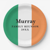 カスタム姓 アイルランド家族再会ペーパープレート ペーパープレート (正面)