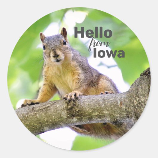 カスタム州封筒用シール ラウンドシール (正面)