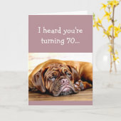 カスタム年齢70歳誕生日No Day昼寝睡眠犬 カード (黄色い花)