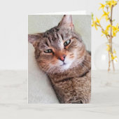 カスタム恋しく思猫のカード カード (黄色い花)