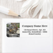 カスタム情報+可愛いチムンク岩にキラキラ ラベル (インサイチュ)