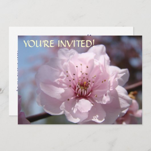 カスタム招待状招待されました!ピンクの花 招待状 (正面/裏面)