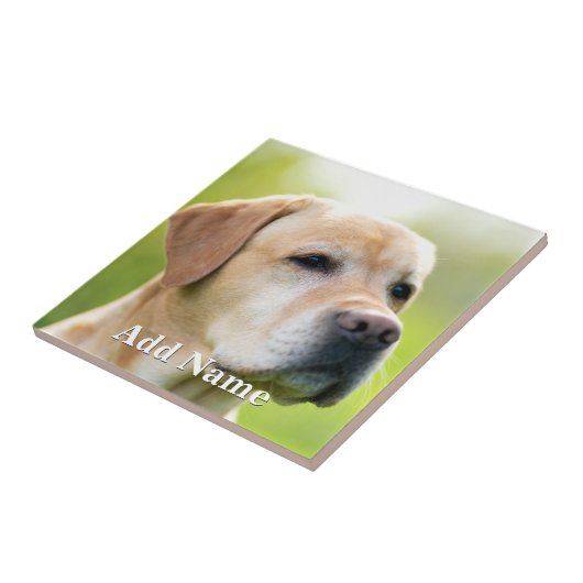 カスタム文字オプションパーソナライズされた タイル (側面)