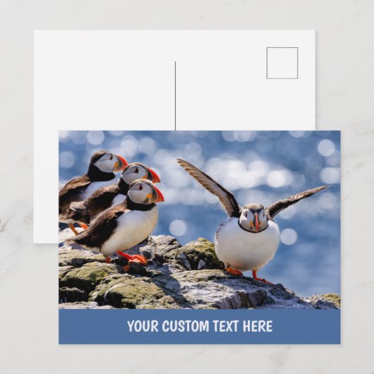 カスタム文字 ポストカード (正面/裏面)