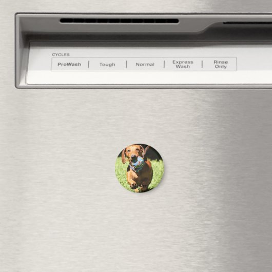 カスタム文字 マグネット (インサイチュ (食洗機))