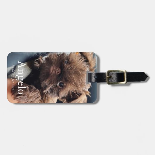 カスタム新しいペットの子犬2写真 ラゲッジタグ (正面横)