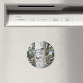 カスタム樺の木木 マグネット (インサイチュ (食洗機))