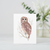 カスタム水色フクロウ、鳥、自然、野生生物 ポストカード (スタンド正面)