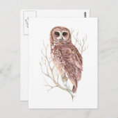 カスタム水色フクロウ、鳥、自然、野生生物 ポストカード (正面/裏面)