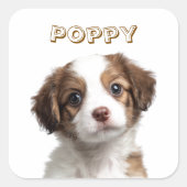 カスタム犬の写真と名前ステッカー スクエアシール (正面)