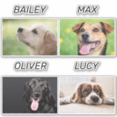 カスタム犬の写真と犬の名前のペットパーソナライズされた シール (正面)