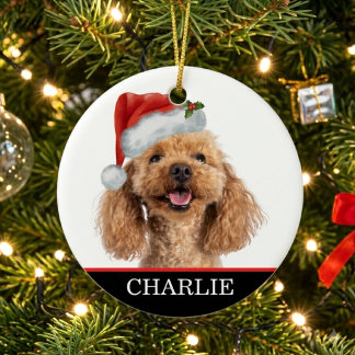 カスタム犬の写真ペットクリスマスハット セラミックオーナメント