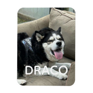 カスタム犬の写真マグネット 名前入り - オリジナルP マグネット