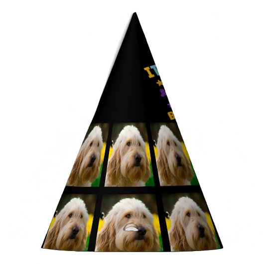 カスタム犬の写真2nd誕生日パーティーパーティー帽子 パーティーハット (左)