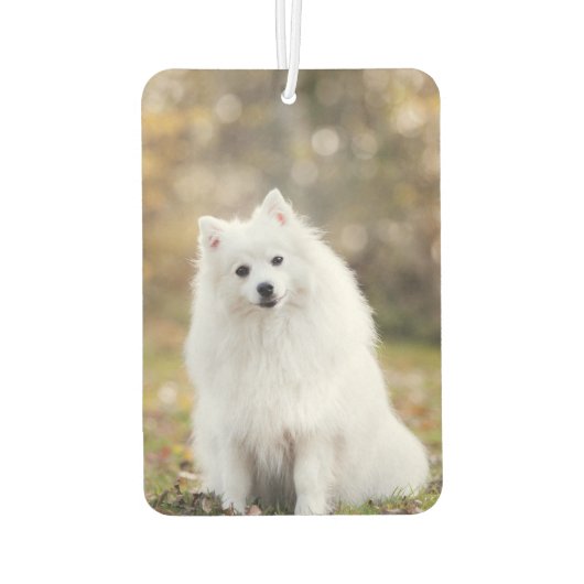 カスタム犬の写真 カーエアーフレッシュナー (裏面)