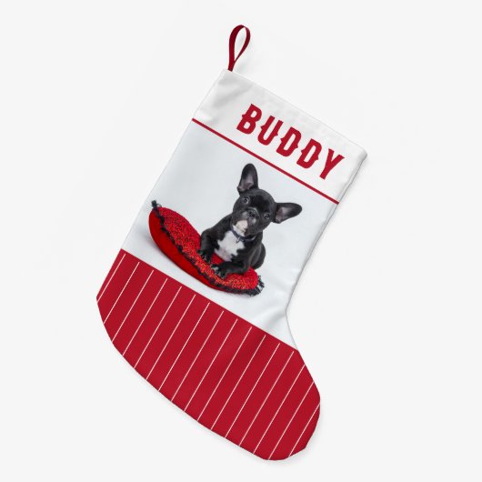 カスタム犬の名前と写真パーソナライズされた スモールクリスマスストッキング (正面 (吊り時))