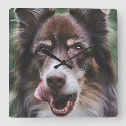 カスタム犬の時計、ペットパーソナライズされたの時計 スクエア壁時計 (正面)