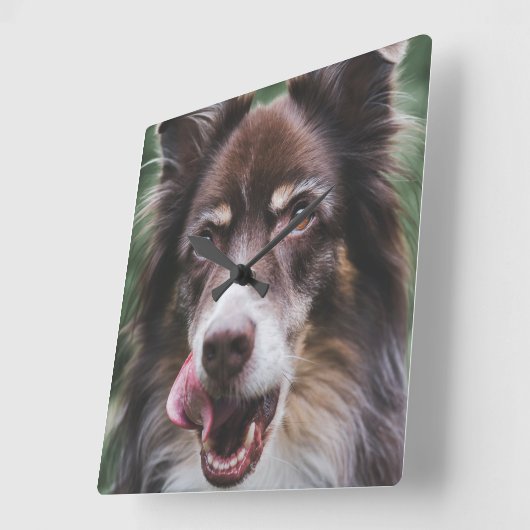 カスタム犬の時計、ペットパーソナライズされたの時計 スクエア壁時計 (傾斜)