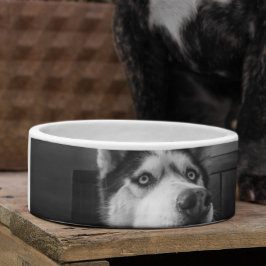 カスタム犬パーソナライズされた猫ペットディッシュ ボウル