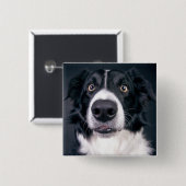 カスタム犬フォトペット 缶バッジ (正面&裏面)