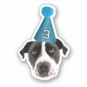 カスタム犬顔ステッカーカスタム、顔誕生日 シール (正面)