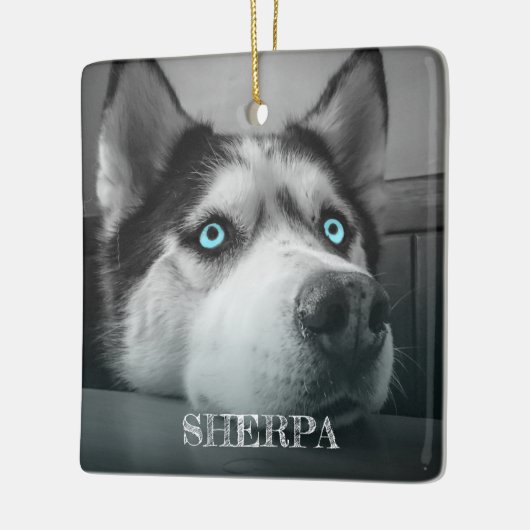 カスタム犬2枚の写真パーソナライズされた セラミックオーナメント (左)