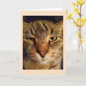 カスタム猫の写恋しく思真 カード (黄色い花)