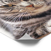 カスタム猫の写真と名前 ポスター (角)