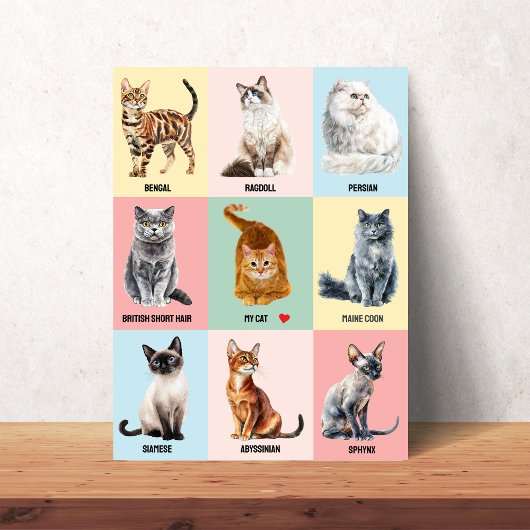 カスタム猫の種類ポスター – 自分の猫を追加 ポスター