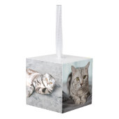 カスタム猫フォトメモリアルペットクリスマス キューブオーナメント (裏面アングル)