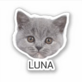 カスタム猫フォト顔 シール (正面)