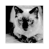 カスタム猫ペット写真 ラバースタンプ (インプリント)