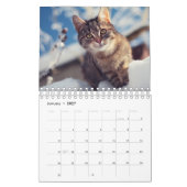 カスタム猫写真カレンダー カレンダー (1月 2027)