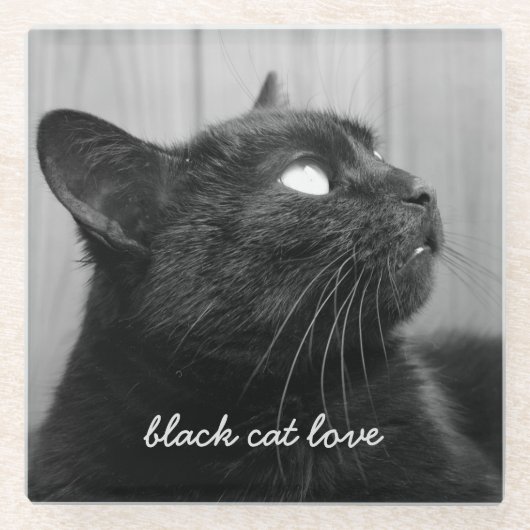 カスタム猫写真ペット記念ガラスコースター ガラスコースター (正面)