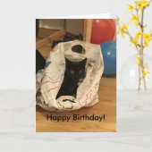 カスタム猫写真誕生日 カード (黄色い花)