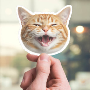 カスタム猫顔ステッパーソナライズされたク – Pet Photo シール