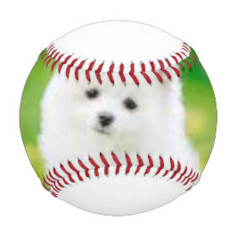 カスタム球 野球ボール