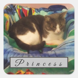 カスタム白灰色の国産短毛猫 スクエアシール