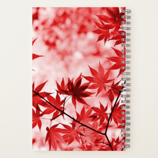 カスタム秋エレガントメープル葉メ芸術的ルメカラフルル ノートブック (裏面)