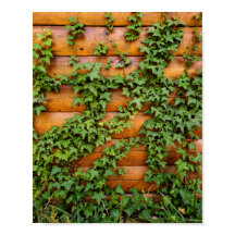 カスタム素朴フォトアイビーオンログキャビン壁ポートレート