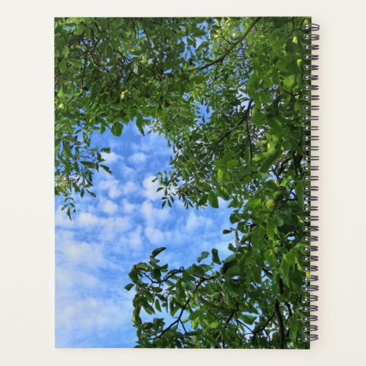 カスタム緑の離れ青い空の木の王冠の写真 –  プランナー手帳 (裏面)
