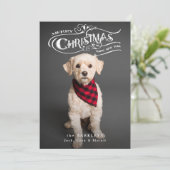 カスタム華美クリスマスタイポグラフィペット写真 シーズンカード (スタンド正面)