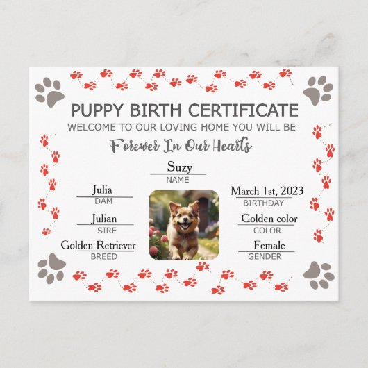 カスタム誕生証明書 シーズンポストカード (正面)